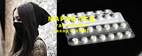 PSILOCYBIN Белокуриха