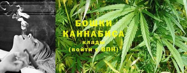 PSILOCYBIN Белокуриха